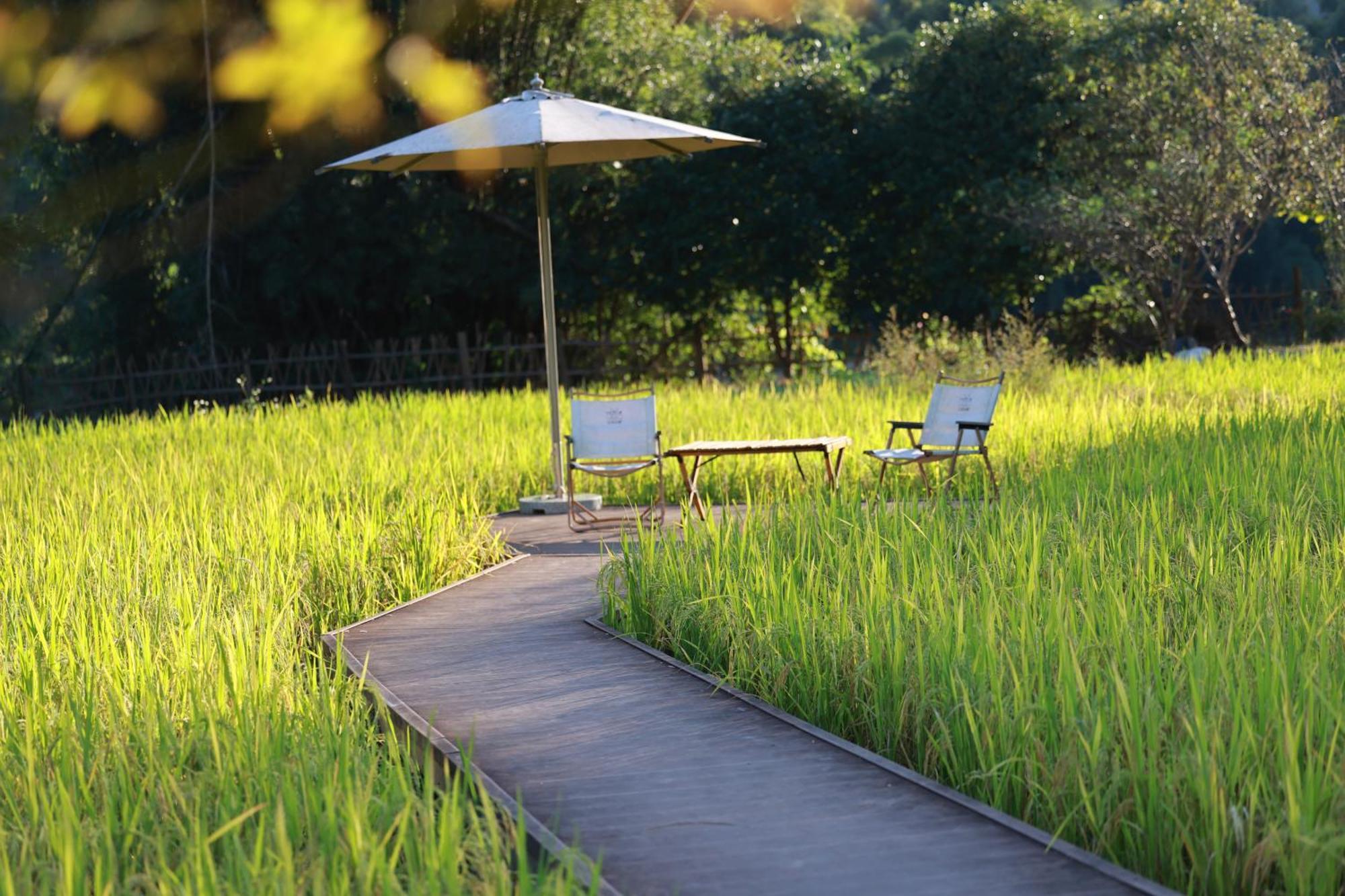 The Apsara Lodge Яншо Экстерьер фото