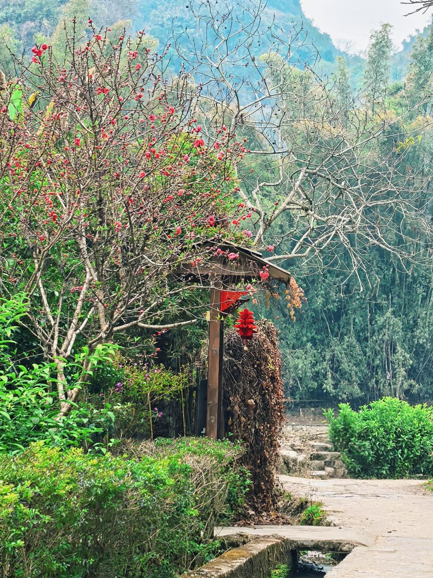 The Apsara Lodge Яншо Экстерьер фото
